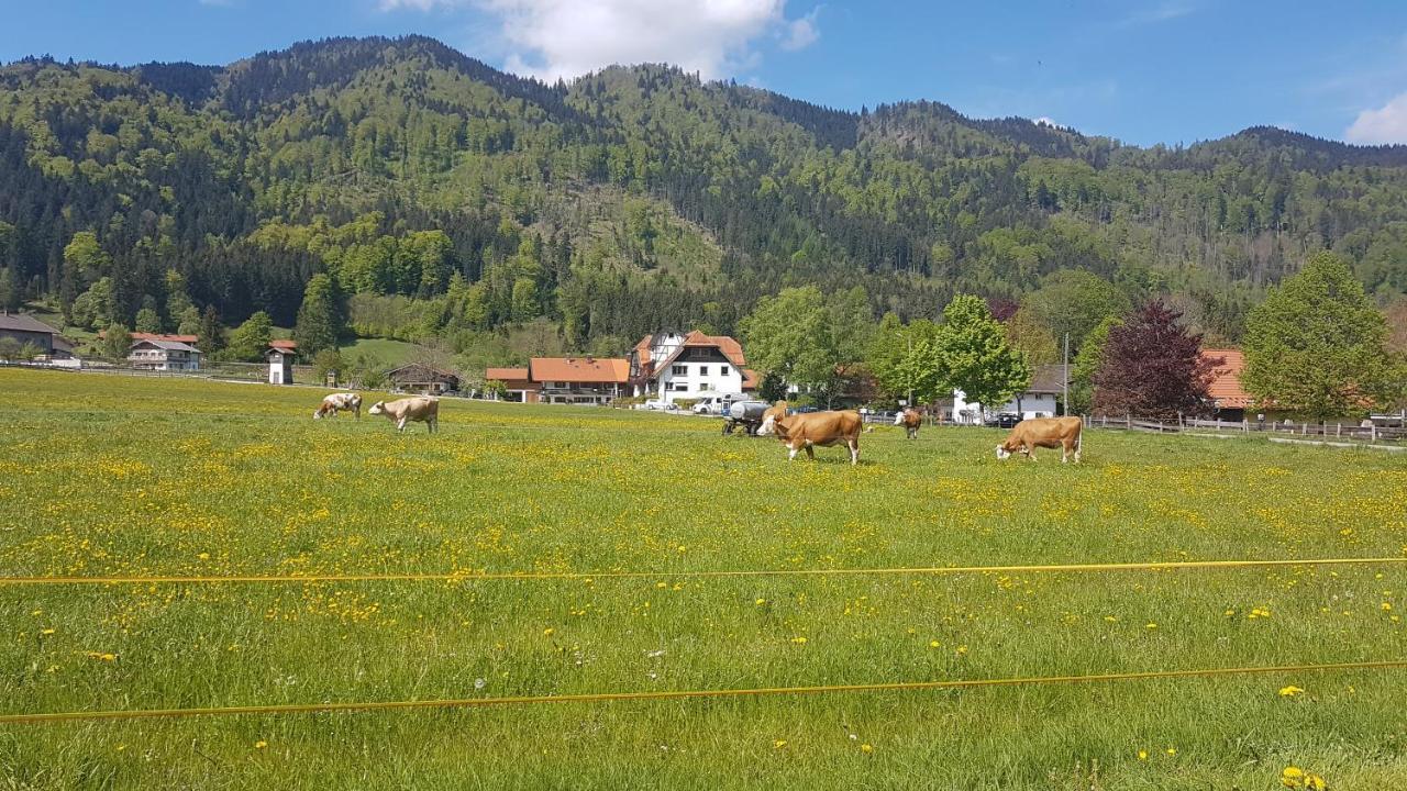 S'Quartier Am Schliersee Exteriör bild