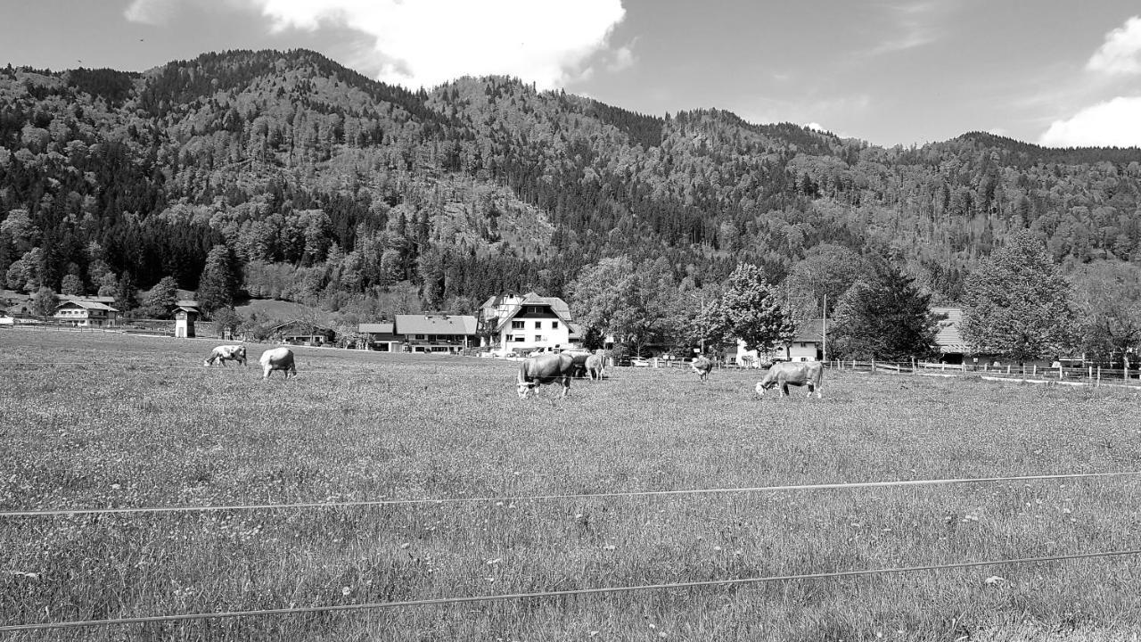 S'Quartier Am Schliersee Exteriör bild